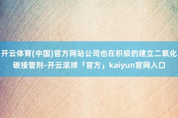 开云体育(中国)官方网站公司也在积极的建立二氧化碳接管剂-开云滚球「官方」kaiyun官网入口