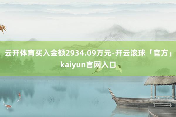 云开体育买入金额2934.09万元-开云滚球「官方」kaiyun官网入口