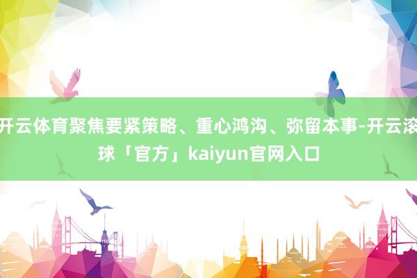 开云体育聚焦要紧策略、重心鸿沟、弥留本事-开云滚球「官方」kaiyun官网入口