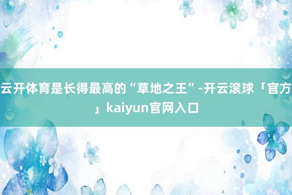 云开体育是长得最高的“草地之王”-开云滚球「官方」kaiyun官网入口